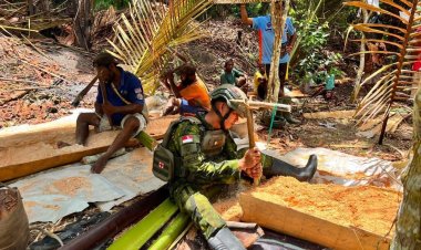 Satgas Yonif 122/Tombak Sakti dan Warga Kalimo Lestarikan Tradisi Tokok Sagu
